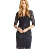 Petite V-Neck Scallop Lace Dress